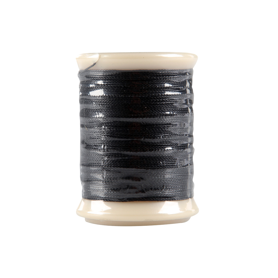 Angel Serving Majesty