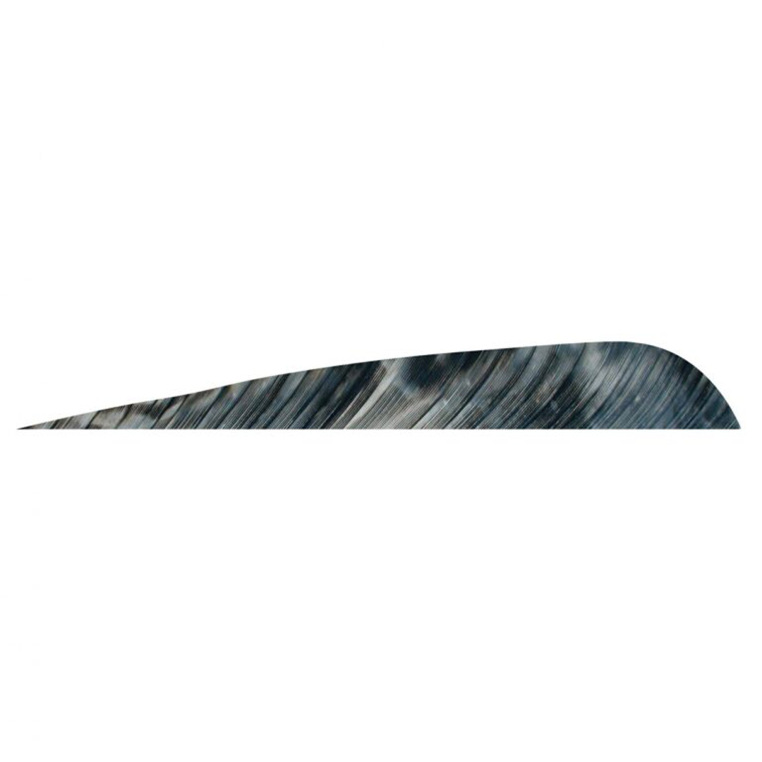 Gateway Feather 4