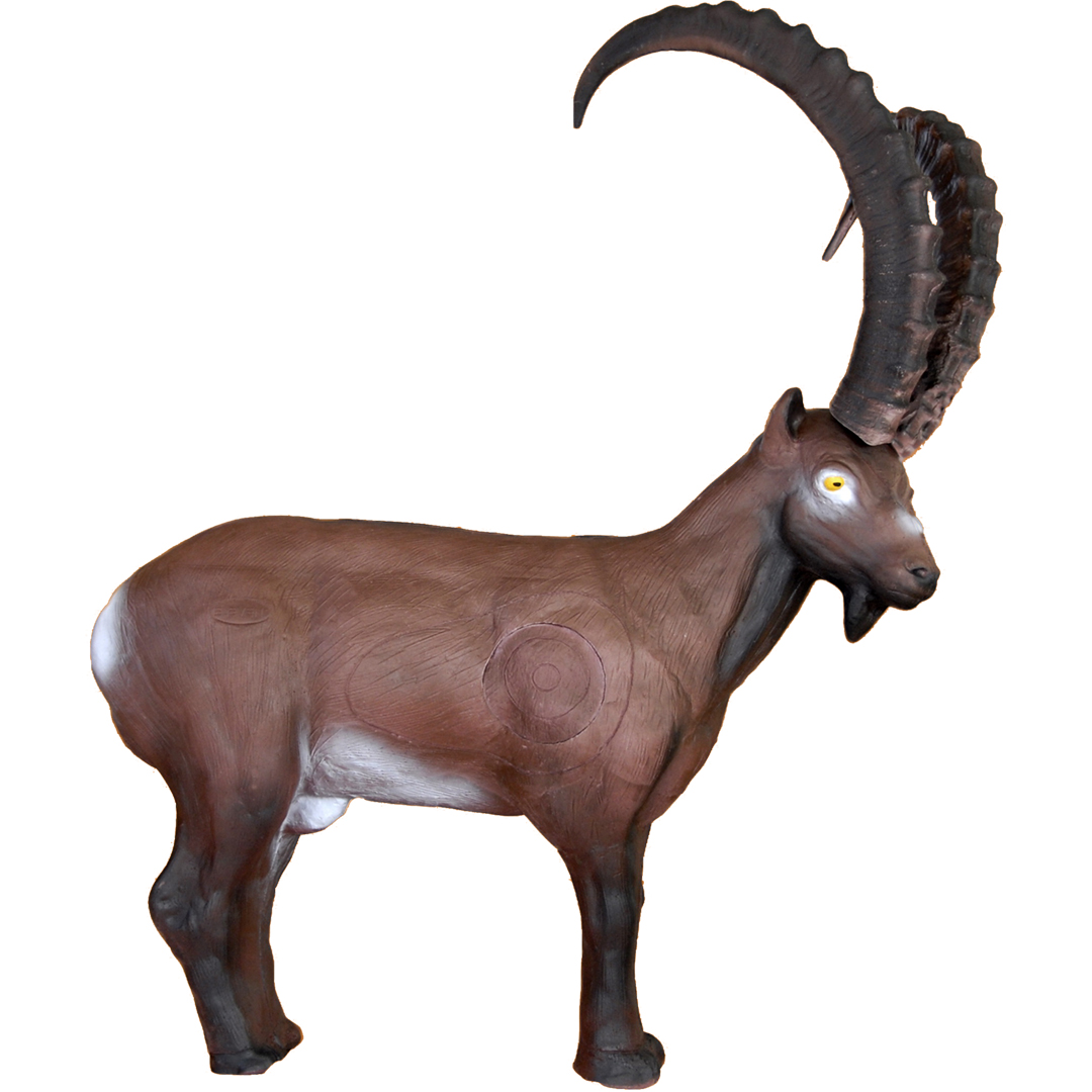 Eleven Target 3D Ibex with Inert & Horns