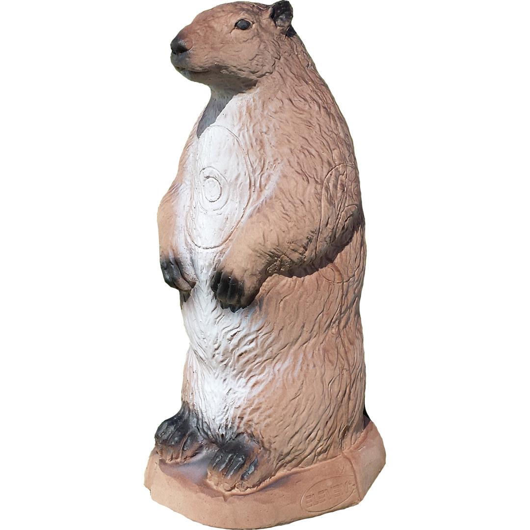 Eleven Target 3D Whistler